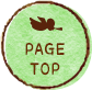 PAGE TOP